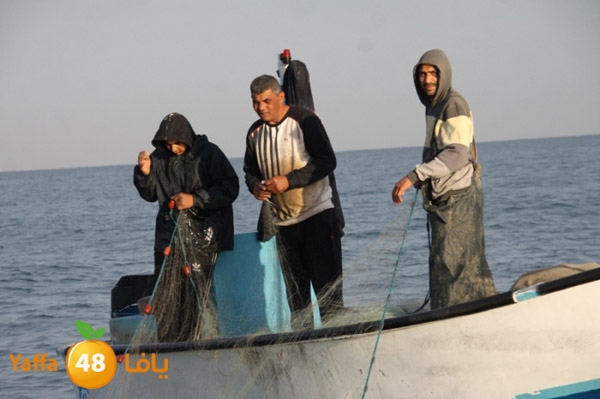 sayyadnewyaffa3 (16).JPG